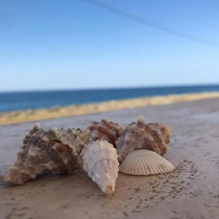 Dom wakacyjny Nicole - Np