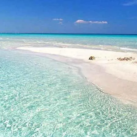 Nicole - Np Punta Prosciutto