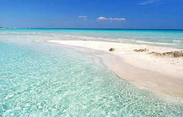 Nicole - Np פונטה פרושוטו