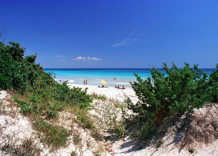 Nicole - Np * פונטה פרושוטו